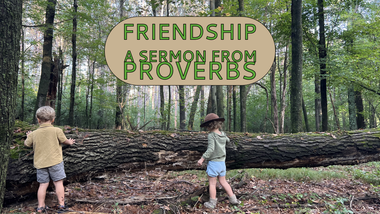 Friendship: The Relationship that Halves our Sorrows and Doubles our Joys